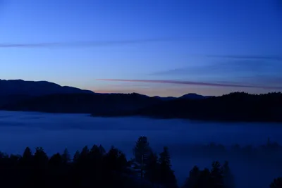 DSC_1079 (Large).JPG